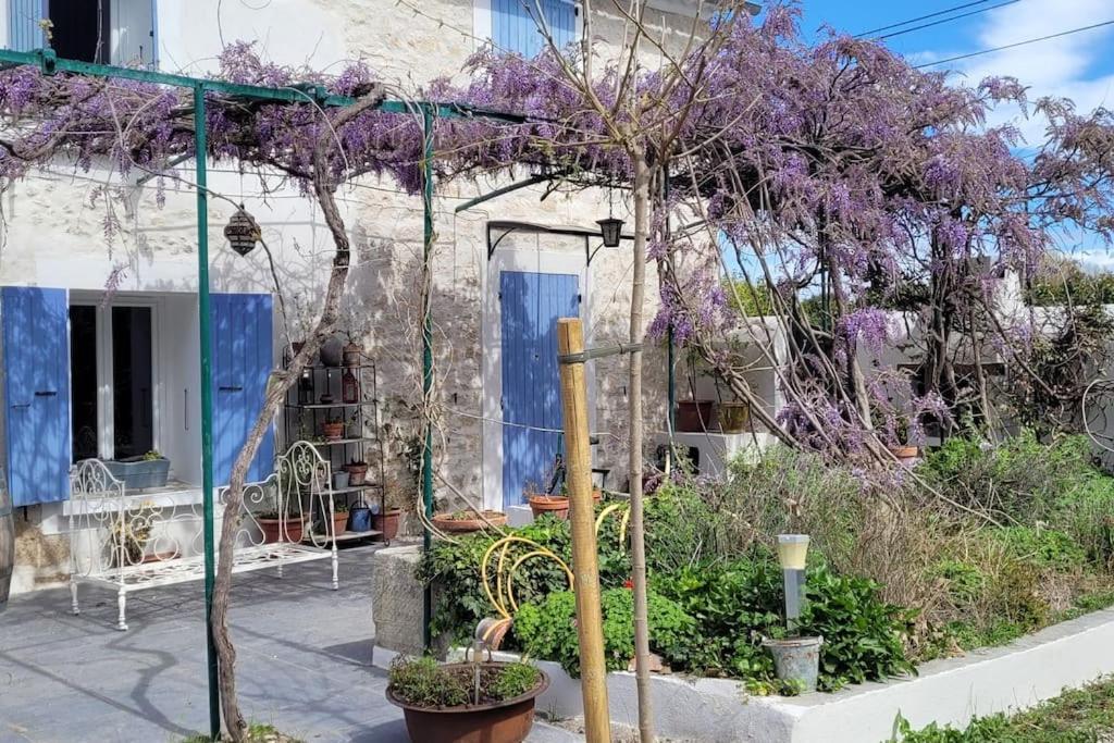 Location Appartement Dans Mas Provencal Monteux Eksteriør billede