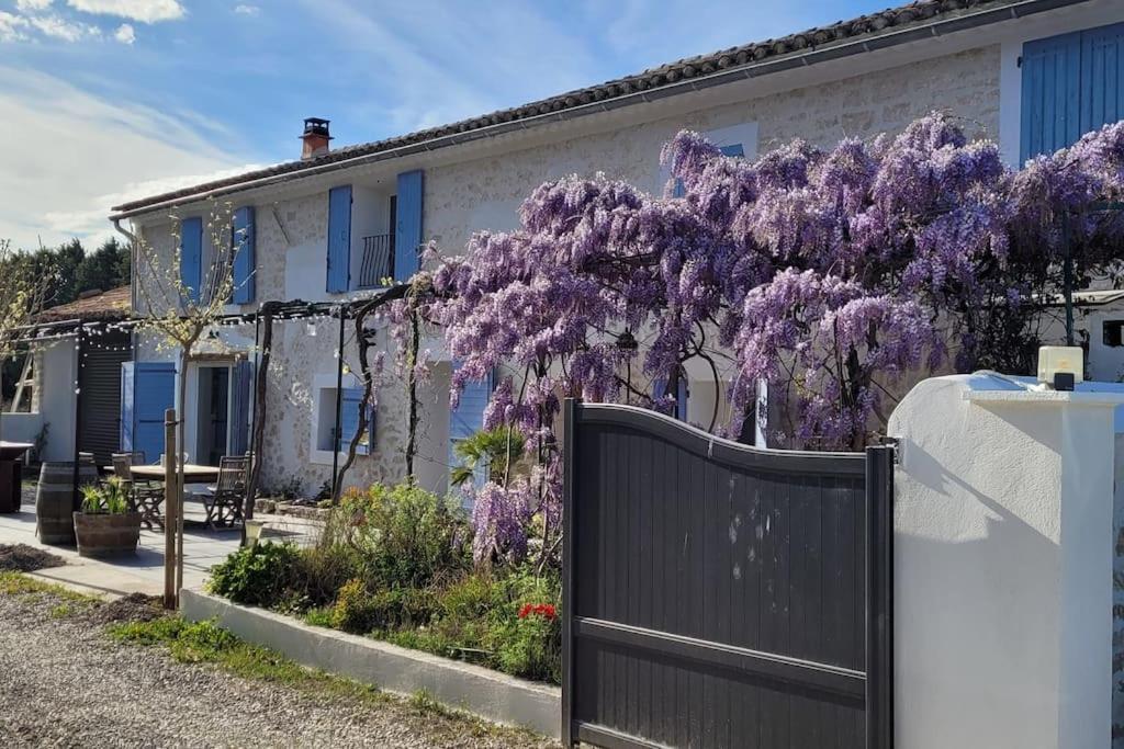 Location Appartement Dans Mas Provencal Monteux Eksteriør billede